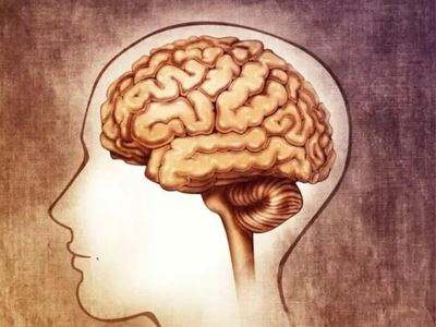 焊接樱桃小视频在线看-霧霾使大腦遲鈍